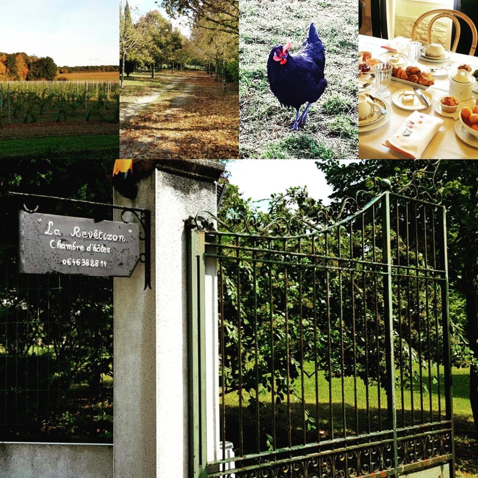 Siecq La Revetizon Bed & Breakfast エクステリア 写真